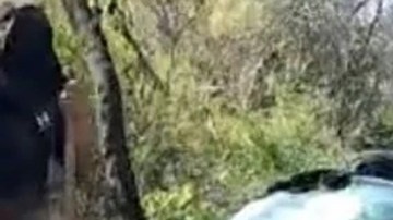 Fosa clandestina en Sonora