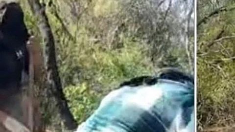 Fosa clandestina en Sonora