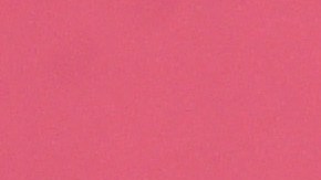 La amiga que le donó un riñón a Selena Gómez aclara rumores sobre su distanciamiento