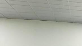 Israel libera a los seis mexicanos que intentaban llegar a Gaza y son repatriados a México