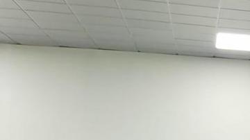 Israel libera a los seis mexicanos que intentaban llegar a Gaza y son repatriados a México