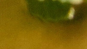 Trump autorizó el despliegue de efectivos de la Guardia Nacional en Chicago y otras ciudades de Illinois.