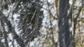 California National Guard vehicles are parked at the California State Fair and Exposition grounds, where they can be deployed to the state Capitol or other government buildings in the area, Tuesday, Jan. 19, 2021, in Sacramento, Calif. California Gov. Gavin Newsom mobilized the National Guard last week and over concerns that protests around Wednesday's inauguration of President-elect Joe Biden could turn violent and destructive. (AP Photo/Rich Pedroncelli)