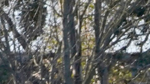 California National Guard vehicles are parked at the California State Fair and Exposition grounds, where they can be deployed to the state Capitol or other government buildings in the area, Tuesday, Jan. 19, 2021, in Sacramento, Calif. California Gov. Gavin Newsom mobilized the National Guard last week and over concerns that protests around Wednesday's inauguration of President-elect Joe Biden could turn violent and destructive. (AP Photo/Rich Pedroncelli)
