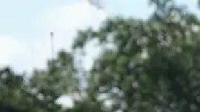 Miembros de la Guardia Nacional en Washington D.C.