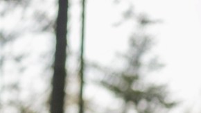 Especialista nos lleva a la realidad: "No podemos pretender cambiar todos los malos hábitos de golpe"