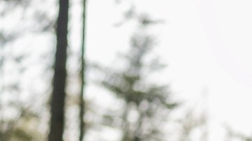 Especialista nos lleva a la realidad: "No podemos pretender cambiar todos los malos hábitos de golpe"