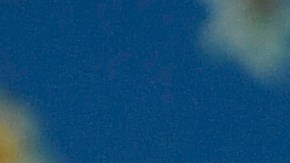 Hailey Bieber revela si quiere más hijos con Justin: "Sé que quiero más de uno"