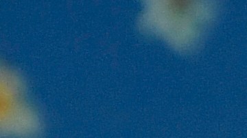 Hailey Bieber revela si quiere más hijos con Justin: "Sé que quiero más de uno"