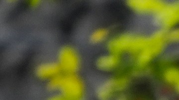 Como en otras redadas, ICE asegura sin evidencia que los arrestos se enfocaron en inmigrantes con antecedentes penales.