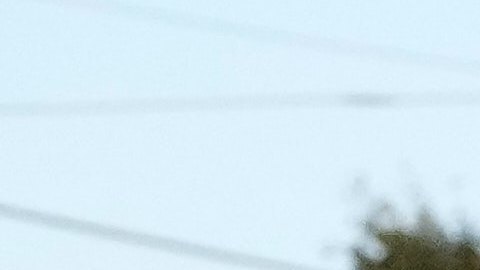 Protesters gather outside an ICE processing facility in the Chicago suburb of Broadview, Ill., Friday, Oct. 31, 2025. (AP Photo/Nam Y. Huh)