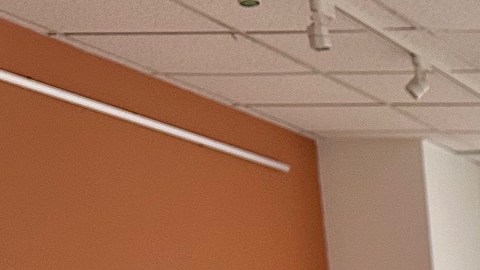 El artista plástico Aldo Cruz dio un taller en el Consulado de México en Los Ángeles para aprender a decorar las calaveras.