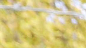 César y su novia felices de apoyar a su equipo.