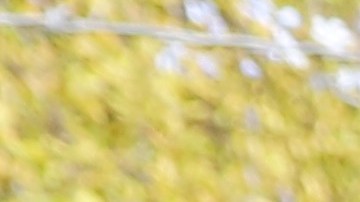 César y su novia felices de apoyar a su equipo.