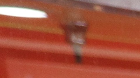 Raúl Luis muestra un plato de su tradicional birria de chivo.