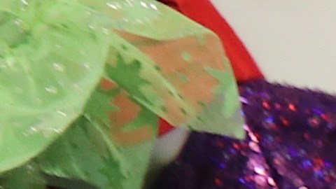 Una familia ve los disfraces disponibles en la tienda. Crédito: Janette Villafana.