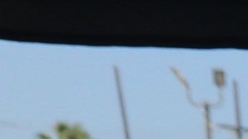 La organización We Grow LA entregan aliementos a residentes del sur de Los Ángeles.