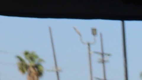 La organización We Grow LA entregan aliementos a residentes del sur de Los Ángeles.