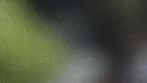 Ciudad de México, 13 de marzo de 2024. @@@ durante el partido de vuelta de los Octavos de Final de la Champions Cup de la CONCACAF 2024, entre las Águilas del América y las Chivas Rayadas del Guadalajara, celebrado en el estadio Azteca. Foto: Imago7/Etzel Espinosa