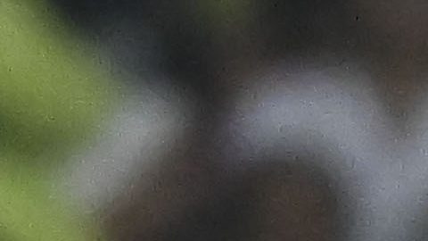 Ciudad de México, 13 de marzo de 2024. @@@ durante el partido de vuelta de los Octavos de Final de la Champions Cup de la CONCACAF 2024, entre las Águilas del América y las Chivas Rayadas del Guadalajara, celebrado en el estadio Azteca. Foto: Imago7/Etzel Espinosa