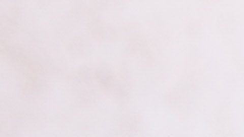 Pachuca, Hidalgo, 26 de julio de 2025. , durante el partido correspondiente a la jornada 3 del torneo Apertura 2025 de la Liga BBVA MX, entre los Tuzos del Pachuca y los Cañoneros del Mazatlán FC, realizado en el estadio Hidalgo. Foto: Imago7/ Elizabeth Hernández