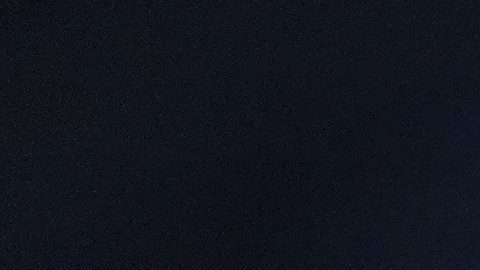 Gilberto Mora con los Xolos de Tijuana.