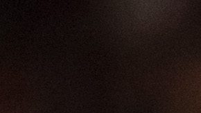 Tijuana, Baja California, 31 de agosto de 2025. Gilberto Mora, durante el partido correspondiente a la jornada 7 del torneo Apertura 2025 de la Liga BBVA MX, entre los Xolos de Tijuana y los Rayos del Necaxa, realizado en el estadio Caliente. Foto: Imago7/Alejandro Gutiérrez Mora