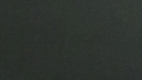 Ciudad de México, 20 de septiembre de 2025. @@@@, durante el partido correspondiente a la jornada 9 del torneo Apertura 2025 de la Liga BBVA MX, entre los Pumas de la UNAM y los Tigres de la UANL, realizado en el estadio Olímpico Universitario. Foto: Imago7/Etzel Espinosa