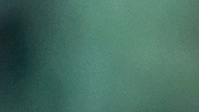 Torreón, Coahuila, 24 de septiembre de 2025. , durante el partido correspondiente a la jornada 10 del torneo Apertura 2025 de la Liga BBVA MX, entre los Guerreros de Santos Laguna y los Xolos de Tijuana, realizado en el estadio Corona. Foto: Imago7/ Erick Saavedra