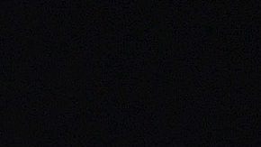 Nicolás Larcamón y Cruz Azul están a un punto de la cima en la Liga MX.