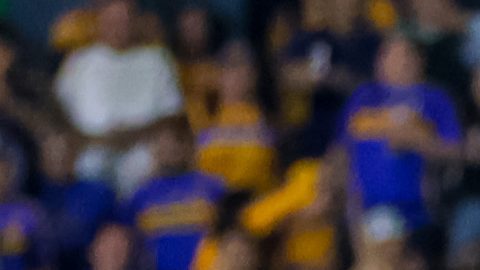 San Nicolás de los Garza, Nuevo León, 17 de octubre de 2025. , durante el partido correspondiente a la jornada 13 del torneo Apertura 2025 de la Liga BBVA MX, entre los Tigres de la UANL y los Rayos del Necaxa, realizado en el estadio Universitario. Foto: Imago7/ Nora Guerrero