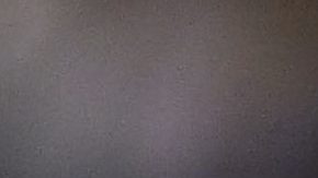 México ocupa el puesto 29 del ranking FIFA.