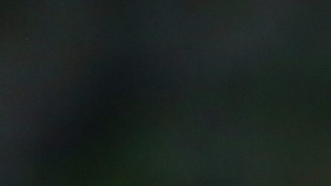 Torreón, Coahuila, 1 de Octubre de 2017. , durante el partido de la jornada 12 del torneo Liga Bancomer MX, entre los Santos Laguna y Puebla celebrado en el Estadio Corona del Territorio Santos Modelo. Foto: Imago7/ Jesús Ruiz