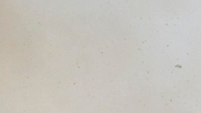 Flames leap skyward as a wildfire burns along a ridge Thursday, Oct. 12, 2017, in Sonoma, Calif. Gusting winds and dry air forecast for Thursday could drive the next wave of devastating wildfires that are already on their way to becoming the deadliest and most destructive in California history. (AP Photo/Rich Pedroncelli)