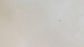 Flames leap skyward as a wildfire burns along a ridge Thursday, Oct. 12, 2017, in Sonoma, Calif. Gusting winds and dry air forecast for Thursday could drive the next wave of devastating wildfires that are already on their way to becoming the deadliest and most destructive in California history. (AP Photo/Rich Pedroncelli)