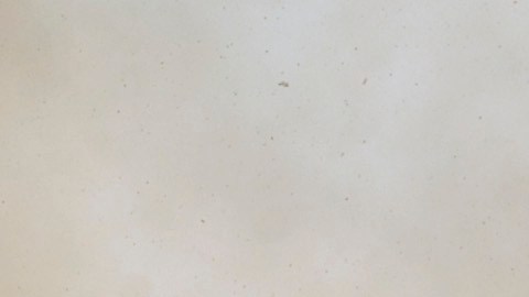 Flames leap skyward as a wildfire burns along a ridge Thursday, Oct. 12, 2017, in Sonoma, Calif. Gusting winds and dry air forecast for Thursday could drive the next wave of devastating wildfires that are already on their way to becoming the deadliest and most destructive in California history. (AP Photo/Rich Pedroncelli)