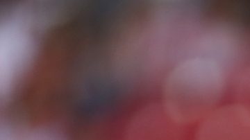 Publicación: Oct. 07 2025 Fotógrafo: Archivo Lugar: ZAPOPAN, Jalisco Formato: 1500 x 999 JPG Documento: 456.0 KB Folio: 2699033