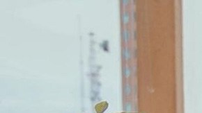 Influencer Wero Bisnero