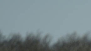 Inmigrantes en la frontera sur