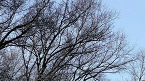 Instituto Tecnológico de Massachusetts