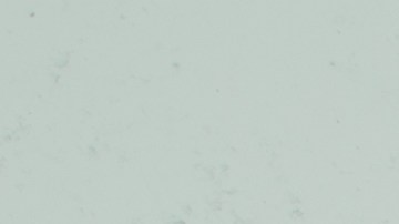 La letra de sus canciones están inspiradas en su vida en un barrio duro de San Cristóbal, en República Dominicana.