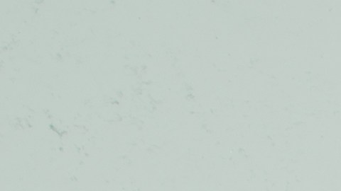 La letra de sus canciones están inspiradas en su vida en un barrio duro de San Cristóbal, en República Dominicana.