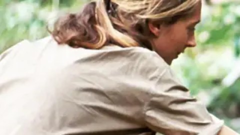 La foto de Jane Goodall con el bebé chimpancé Flint desafió las normas científicas y cambió la visión del reino animal.