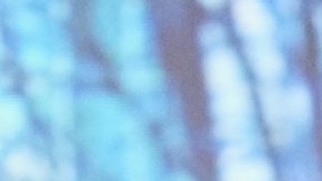 Joe Biden, expresidente estadounidense