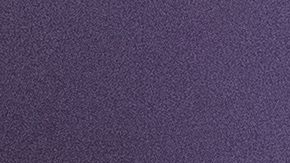 Julio César Chávez Jr.