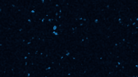 Los Fabulosos Cadillacs inician su gira por varias ciudades de Estados Unidos este fin de semana. Foto: Cortesía