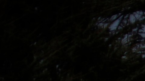 La Casa Blanca es la residencia oficial y el lugar de trabajo del presidente de Estados Unidos.