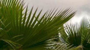 La Toyota 4Runner TRD Pro 2025 eleva el nivel de aventura