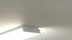 Leo Martínez, líder de la VC Defensa es embestido en su vehículo por agentes federales de migración.