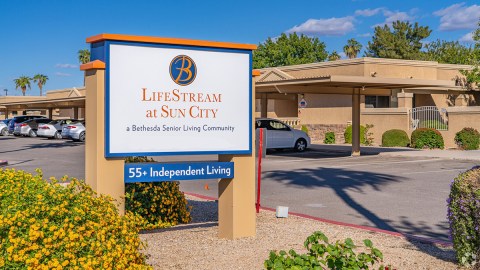 LifeStream